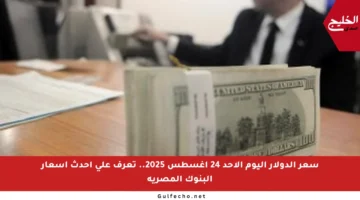 سعر الدولار اليوم الأحد 24 أغسطس 2025.. تعرف على أحدث أسعار البنوك المصرية